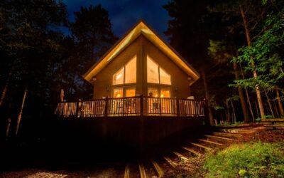 How a Drainage System Can Ward Off Scary Pests Under Your Deck