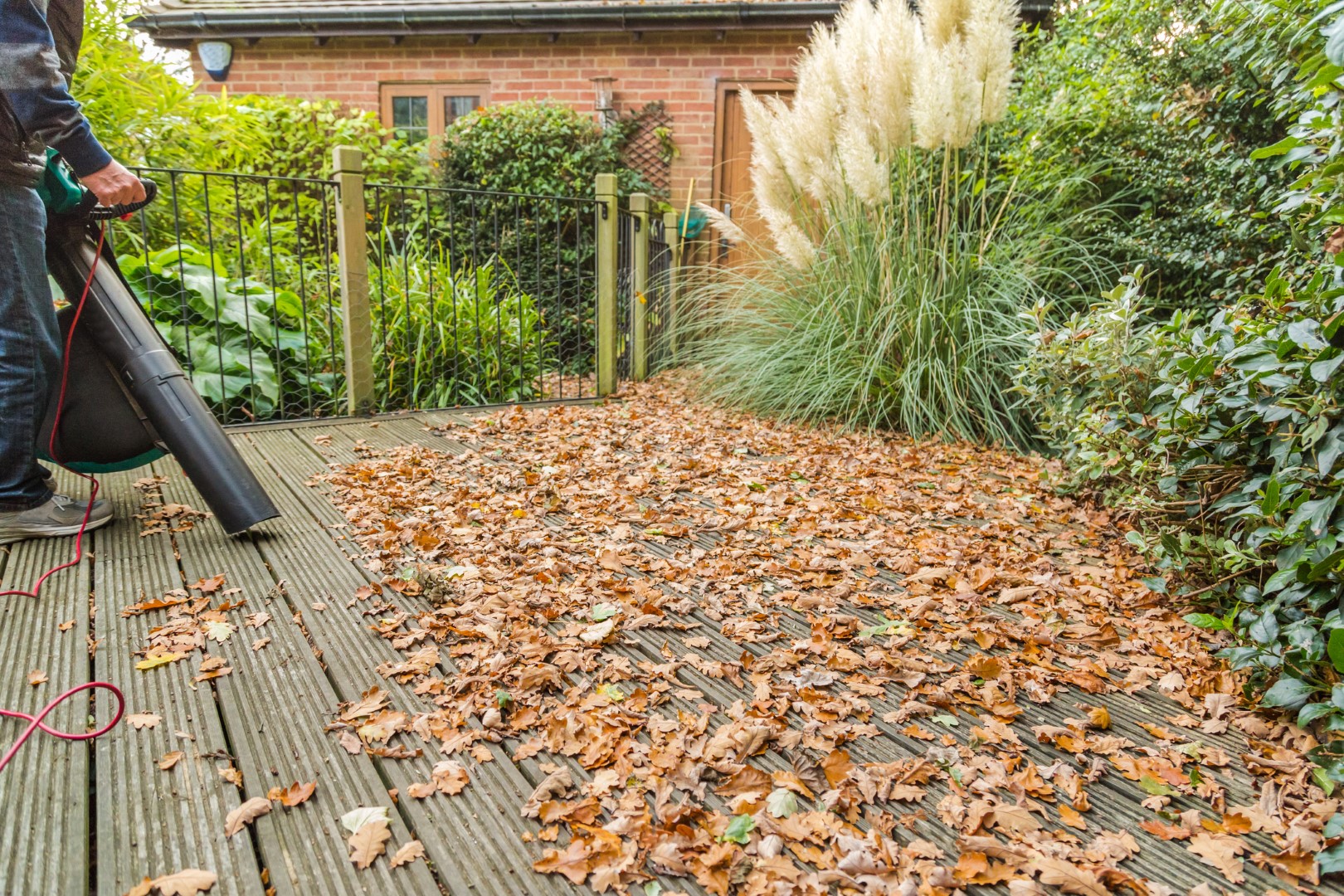 Fall Leaves and Dangers to Your Home Deck DEK Drain
