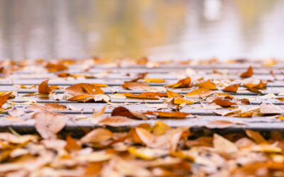 From Autumn Leaves to Winter Snow: Protect Your Deck Frame Year-Round